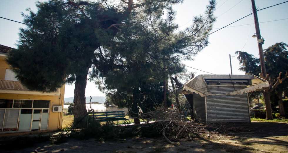 Κι άλλος εργαζόμενος σε ΟΤΑ σκοτώθηκε εν ώρα εργασίας